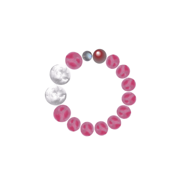 Cherry Blossom Rhodonite & Blizzard Snowflake Phantom Bracelet